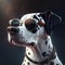 Beautiful Dalmatian dog wearing Oakley sunglasses