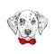 Beautiful dalmatian painted by hand. Vector illustration for a card or poster, print on clothes. Cute dog in glasses and tie. Pedi