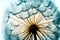 Beautiful dandelion close-up on a white background. Generative AI