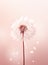 Beautiful dandelions and flying seeds on a beige background