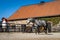 Beautiful dapple grey horse in a corral. Thoroughbred horses feed and drink in paddock.