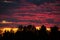 Beautiful dark blue-red sunset with clouds on the sky with horizon on trees, natural shades