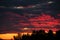 Beautiful dark blue-red sunset with clouds on the sky with horizon on trees, natural shades