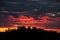 Beautiful dark blue-red sunset with clouds on the sky with horizon on trees, natural shades