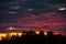 Beautiful dark blue-red sunset with clouds on the sky with horizon on trees, natural shades