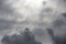 Beautiful day cloudscape view from below of dramatic dramatic grey and white thunder storm clouds and silhouettes of birds on a da