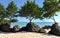 Beautiful daylight beach spring summer by green foliage of trees and rocks