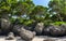 Beautiful daylight beach spring summer by green foliage of trees and rocks