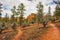 Beautiful daytime view of the Red Canyon in the Dixie National Forest, Utah, USA