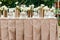 Beautiful decor at the wedding. The flowers on the background of the boards.