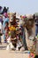 Beautiful decorated arabian camels taking part at famous camel fair in Pushkar,Thar desert