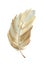 Beautiful decorative fairytale fluffy feather painted in watercolor isolated on white background