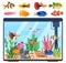 Beautiful decorative home aquarium with different fish types set vector flat illustration