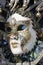 Beautiful decorative venetian mask