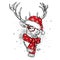 Beautiful deer in Christmas hat, scarf and glasses.