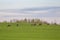 Beautiful deer flock grazing in the spring meadow. Dears in the field.