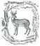 Beautiful Deer Frame of Driftwood Wild wild woods Sketch style H