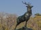 Beautiful Deer Stag statue at a city park in Buenos Aires, Arge