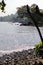 Beautiful defocused beach background with green leaves