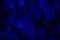 beautiful defocused dark blue elegant