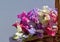 Beautiful, delicate, multi-coloured sweetpeas in a basket. Close-up on blue background.