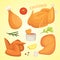 Beautiful delicious fried chicken set of illustrations in cartoon style. Fresh fast food fry meat.