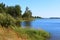 Beautiful dense green forest on the lake shore