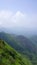 Beautiful dense green lush landscapes of kodaikanal hillstation filled with mist and cloudy sky