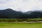 Beautiful deodar tree forest hill in Khajjair, Himachal Pradesh, India.