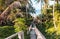 A beautiful descent wooden staircase through the jungle down to the beach. A beautiful view opens through palm trees to the ocean
