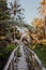 A beautiful descent wooden staircase through the jungle down to the beach. A beautiful view opens through palm trees to the ocean