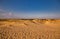 Beautiful desert landscape with dunes. Walk on a sunny day on the Oleshkiv sands