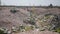 Beautiful desert landscape. Small hills, rocky ground and small plants.