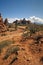 Beautiful Desert Scene and Rock Formations