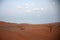 Beautiful desertic landscape in Namib desert. Two trees, red san dunes and no people.