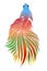 beautiful  design vector beauty of colorful betta fish with beautiful fins for wallpaper or clothing