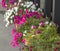 Beautiful designed flower boxes in front. Flowery exterior home decoration