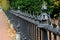 Beautiful detail of black wrought iron fence and brick walkway