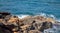 Beautiful detail views of Mallorca, its beaches and Mediterranean sea, with rocks. Virgin and perfect for a summer bath