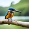 Beautiful detailed kingfisher in rich colors - ai generated image