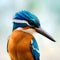 Beautiful detailed kingfisher in rich colors - ai generated image