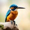 Beautiful detailed kingfisher in rich colors - ai generated image