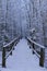 Beautiful details of branches with snow and wooden bridge in Scandinavian winter landscape