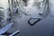 Beautiful details photo of trees and reflections in still water