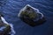 Beautiful details of stone in lake with ice melting at spring evening