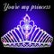 beautiful diadem feminine wedding on we turn blue background.  You`re my princess