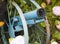 Beautiful and diferent small homemade blue cannon at colonia tovar`s town Venezuela