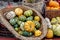 Beautiful and different varieties of squashes and pumpkins on rustic cork basket. Autumn rustic scene. Selective focus. Closeup