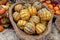 Beautiful and different varieties of squashes and pumpkins on rustic cork basket. Autumn rustic scene. Selective focus. Closeup