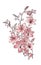 A beautiful digital pink flower using for textile
